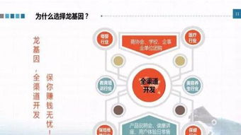 龍基因加盟 實體店培訓成就火爆加盟店，教育信息咨詢助力創業成功